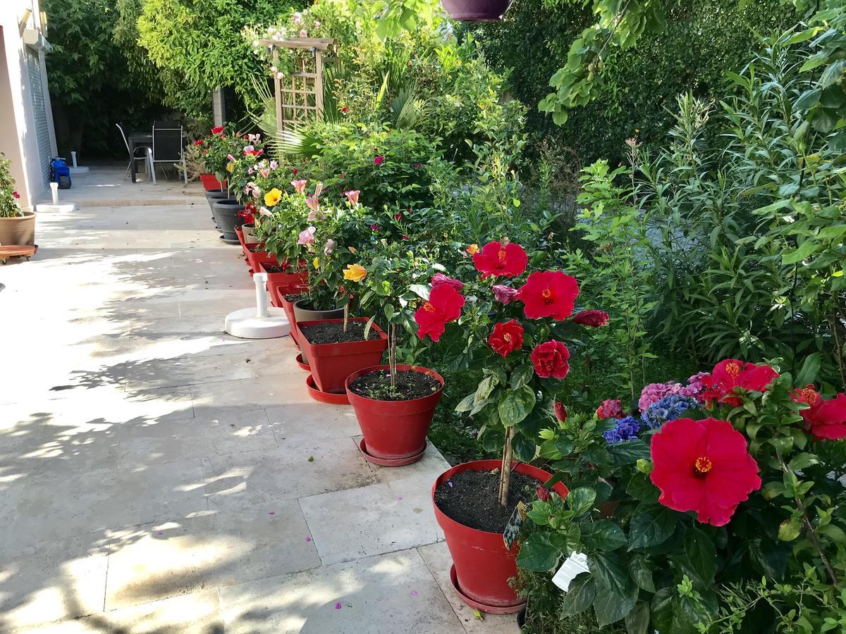 히에레 Domaine De L'Aufrene B&B 외부 사진
